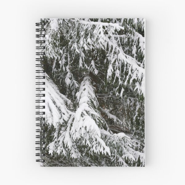 Item preview, Spruce covered. Parkkuu winter 2023 minimal color 3 designed and sold by Jouko Lehto Photography.