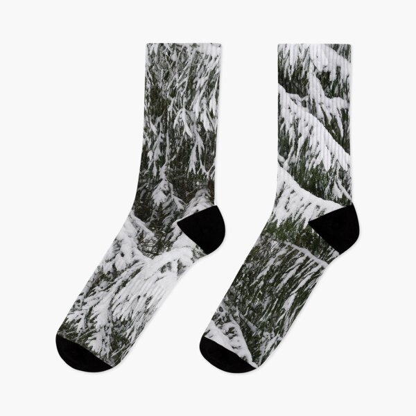 Item preview, Spruce covered. Parkkuu winter 2023 minimal color 3 designed and sold by Jouko Lehto Photography.