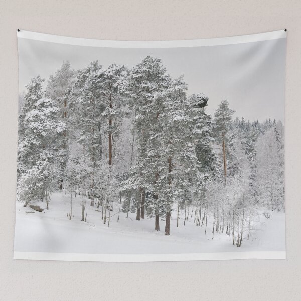 Item preview, The pines by the fields. Parkkuu winter 2023 minimal color designed and sold by Jouko Lehto Photography.