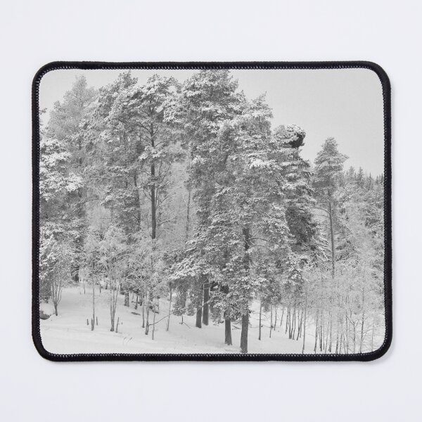 Artikelvorschau, Die Kiefern neben den Feldern. Parkkuu Winter 2023 sw entworfen und verkauft von Jouko Lehto Photography.