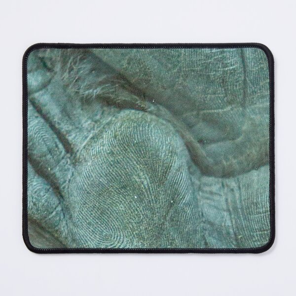 Item preview, Feet of a Moloch Gibbon designed and sold by Dalyndigital Photography.