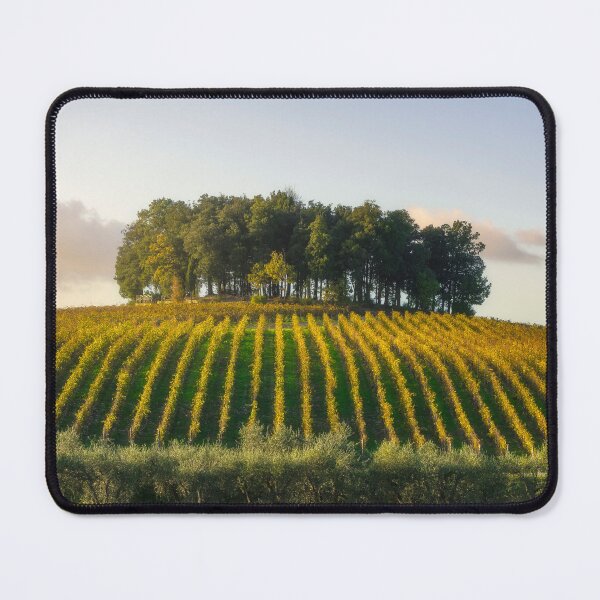 Item preview, Vineyard and trees in Chianti region. Italy designed and sold by Stefano Orazzini.