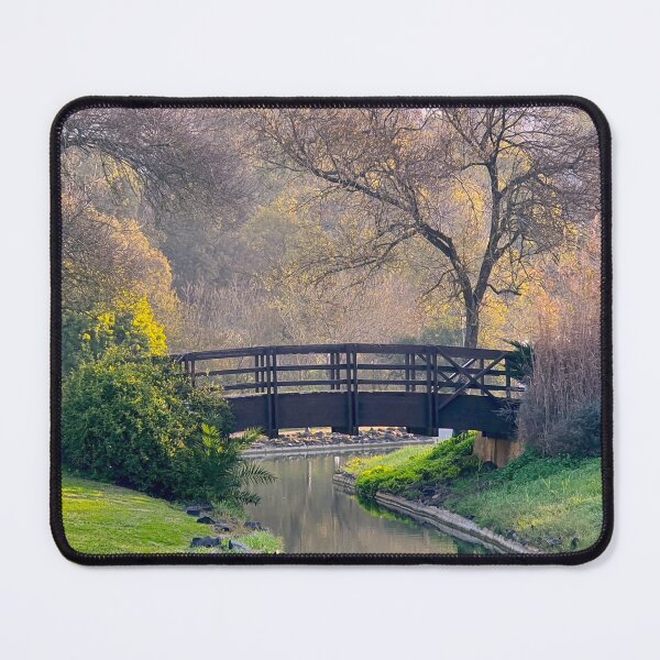 Item preview, morning light in Jamor Park designed and sold by Tereza Pilar  Art.