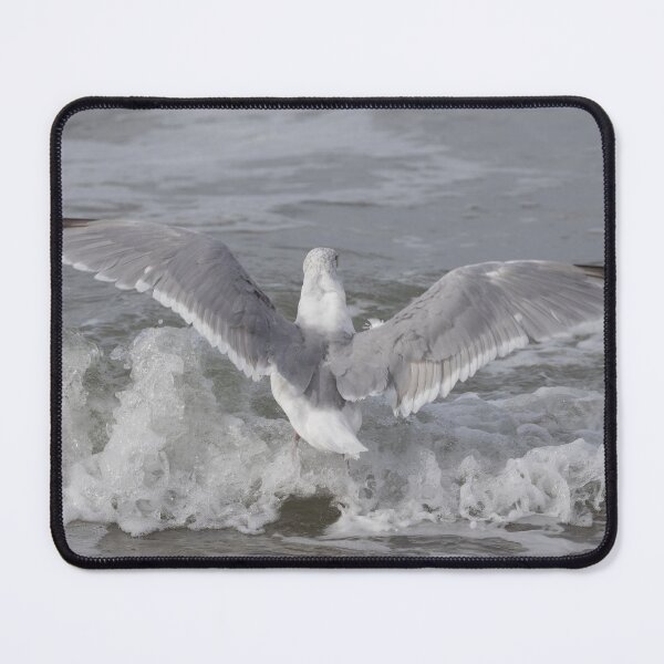 Item preview, European Herring Gull designed and sold by Calidris Fotografie Steffi & Ben Köppler.