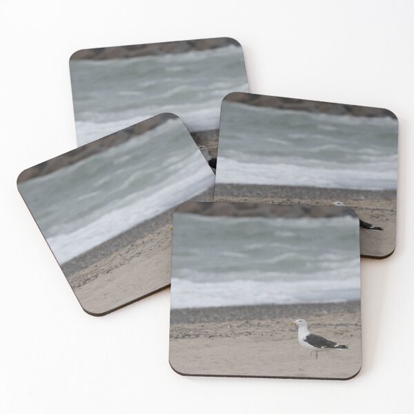 Item preview, Lesser Black-backed Gull designed and sold by Calidris Fotografie Steffi & Ben Köppler.