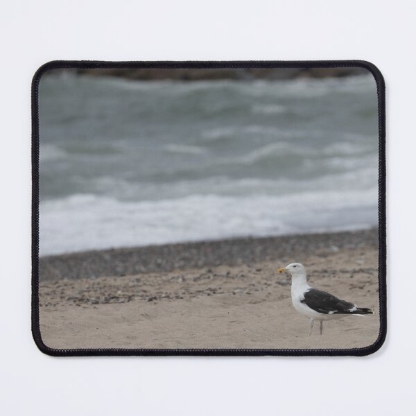 Item preview, Lesser Black-backed Gull designed and sold by Calidris Fotografie Steffi & Ben Köppler.