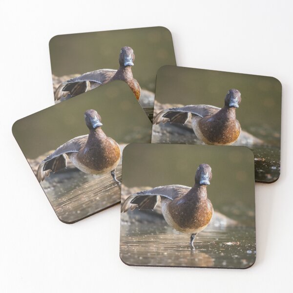 Item preview, Ballet duck designed and sold by Tara Smithson.