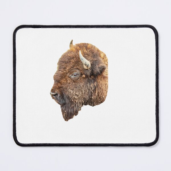 Item preview, American Bison designed and sold by Dalyndigital Photography.