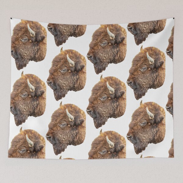 Item preview, American Bison designed and sold by Dalyndigital Photography.