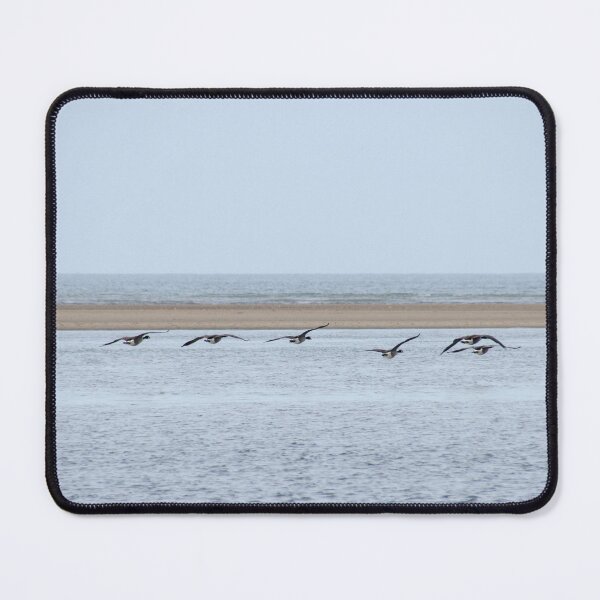 Item preview, A flight of Canada geese, gliding along the coast. designed and sold by sandyprints.