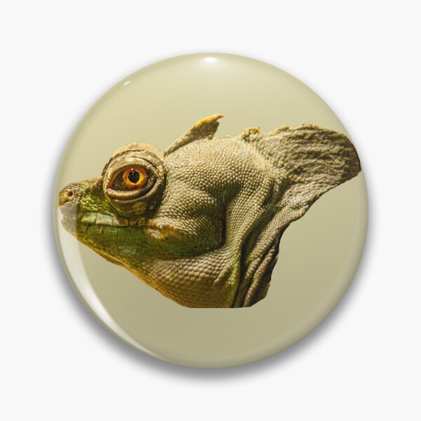 Item preview, Plumed Basilisk lizard designed and sold by Dalyndigital Photography.