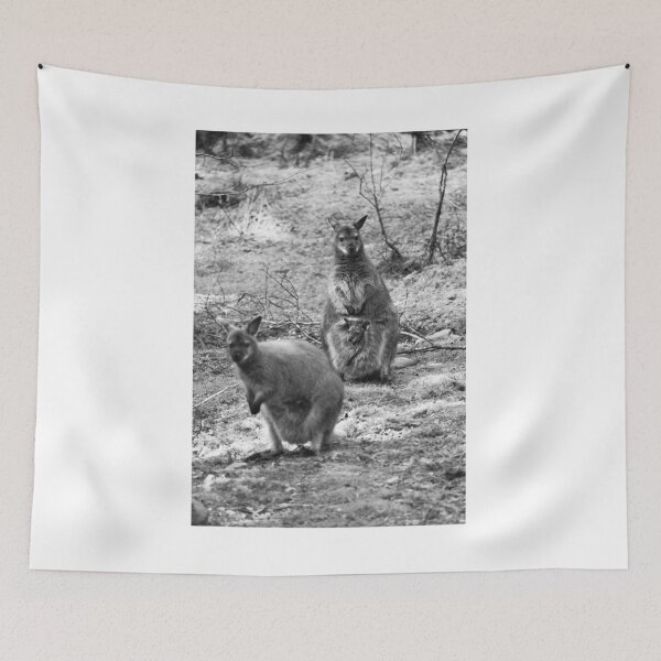 Item preview, Wallabies and Joey in Donegal bw vert designed and sold by eddiebarronshop.