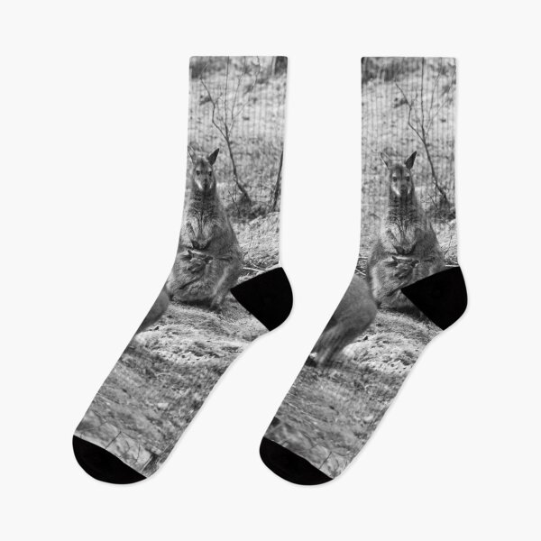 Item preview, Wallabies and Joey in Donegal bw vert designed and sold by eddiebarronshop.