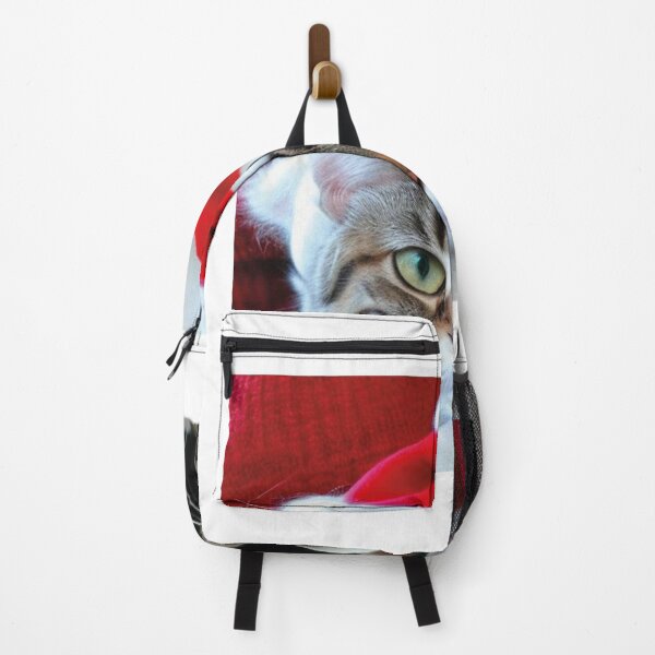 Item preview, Christmas Cat on white background. Studio portrait of a ginger cat wearing Santa Claus xmas red cap looks up. Merry Christmas. Greeting card. Happy New Year 2024. Cat with Santa hat. Copy space designed and sold by paolboa.