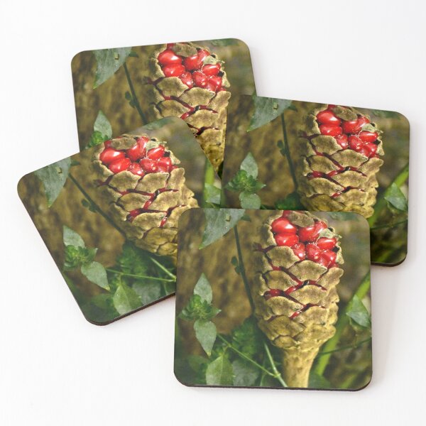 Item preview, Strange Seedpod designed and sold by MercerImages.