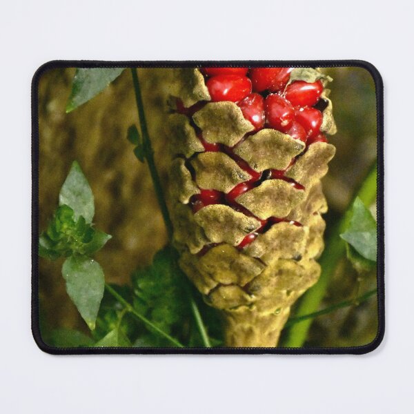 Item preview, Strange Seedpod designed and sold by MercerImages.