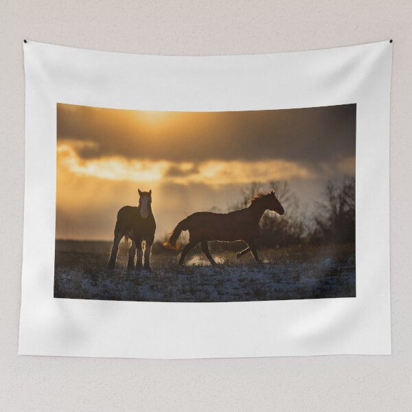Item preview, Horses in a winter sunset designed and sold by James Cumming.