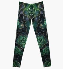 Legging Verde suculento