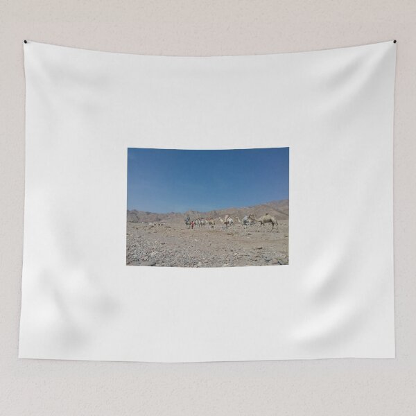 Item preview, A camel caravan in Dahab, South Sinai, Egypt designed and sold by Osama-Hamdi.