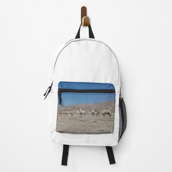 Item preview, A camel caravan in Dahab, South Sinai, Egypt designed and sold by Osama-Hamdi.