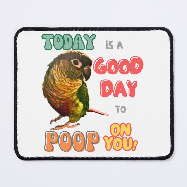 Item preview, Green Cheek Conure, Small Parrot, Parakeet, Today is a good day to poop on you designed and sold by TatianaLG.