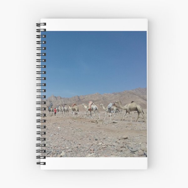 Item preview, A camel caravan in Dahab, South Sinai, Egypt designed and sold by Osama-Hamdi.