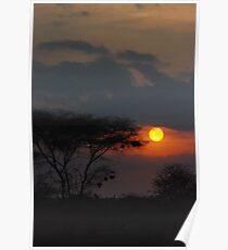 african sunset Poster