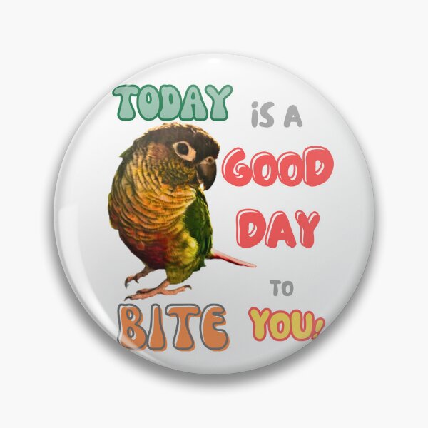 Item preview, Green Cheek Conure Bird, Small Parrot, Parakeet, Today is a good day to bite you designed and sold by TatianaLG.