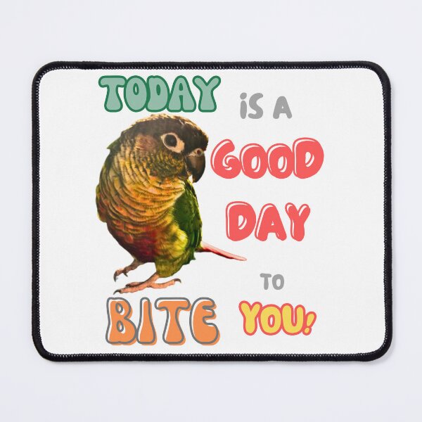 Item preview, Green Cheek Conure Bird, Small Parrot, Parakeet, Today is a good day to bite you designed and sold by TatianaLG.