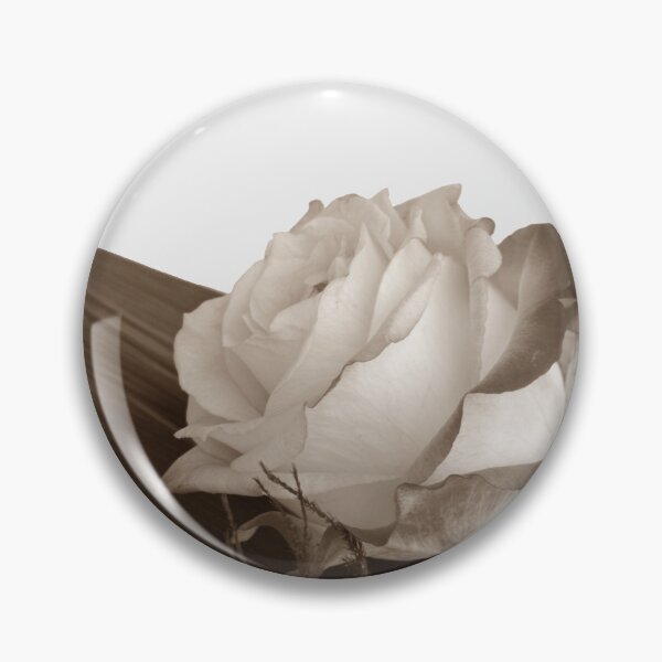 Artikelvorschau, Rosenfoto, ausgeschnittenes Muster, Sepia-Effekt entworfen und verkauft von evadesignbubble.