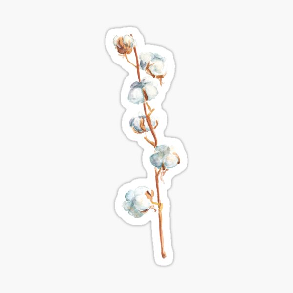 Watercolor branch of cotton Sticker