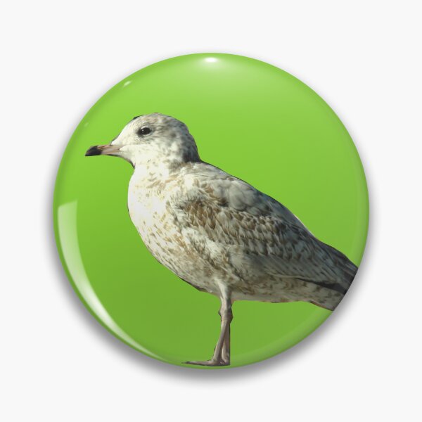 Item preview, Seagull designed and sold by Laybov.