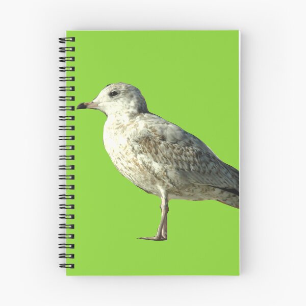 Aperçu de l'œuvre Mouette créée et vendue par Laybov.