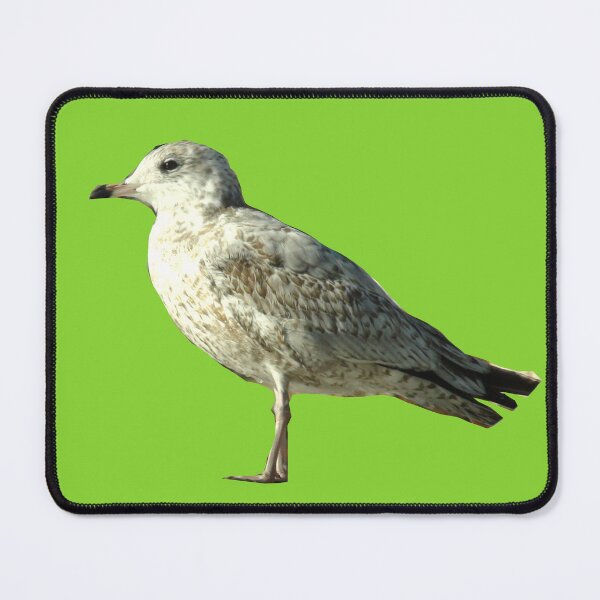 Item preview, Seagull designed and sold by Laybov.