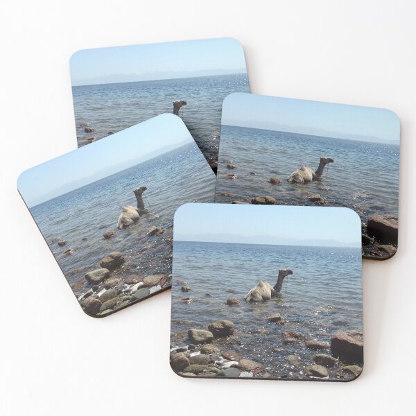 Item preview, A camel is in the Red Sea, Dahab designed and sold by Osama-Hamdi.