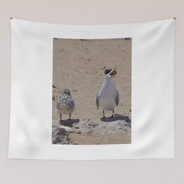 Item preview, Greater Crested Tern And Chick (2) designed and sold by lezvee.