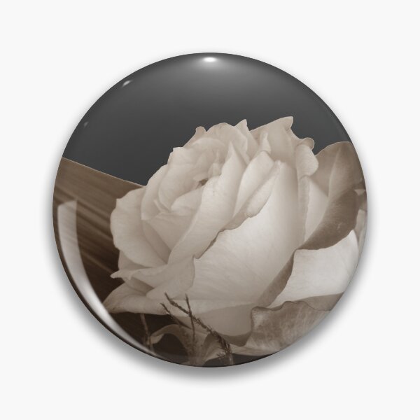 Artikelvorschau, Rosenfoto, ausgeschnittenes Muster, Sepia-Effekt entworfen und verkauft von evadesignbubble.