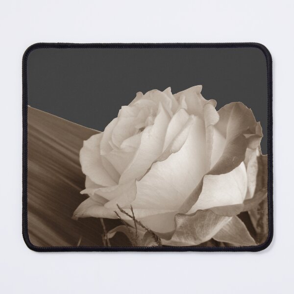 Item preview, Rose photo, cut out pattern, sepia effect designed and sold by evadesignbubble.