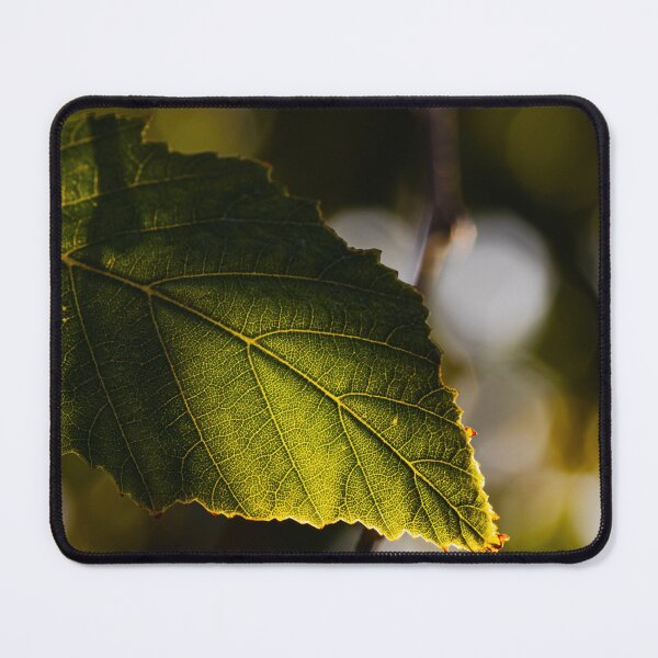 Item preview, Macro Image of Green Leaf in Autumn designed and sold by vijibala2016.
