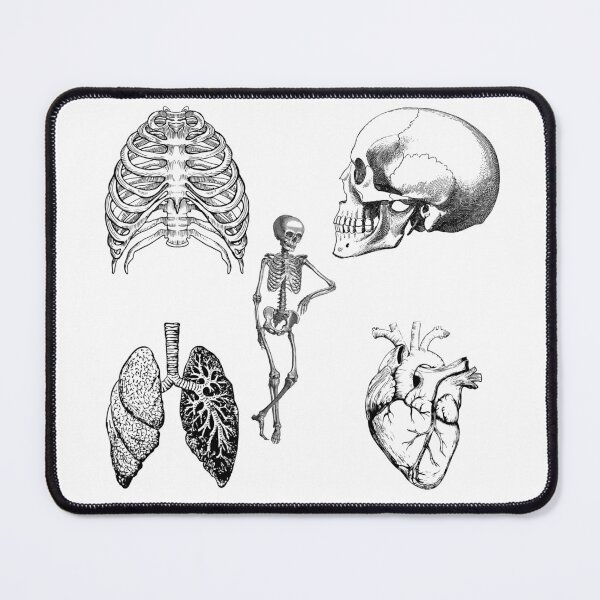 Item preview, Anatomy designed and sold by Dosiak85.