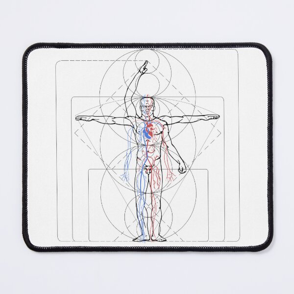 Item preview, Anatomy of man designed and sold by Dosiak85.