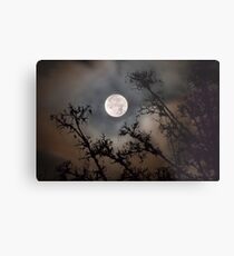 Supermoon Metal Print