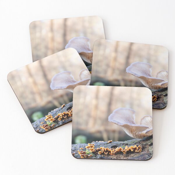 Item preview, Wild oyster mushroom designed and sold by J-Brezy.