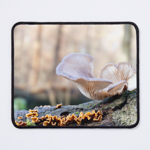 Item preview, Wild oyster mushroom designed and sold by J-Brezy.