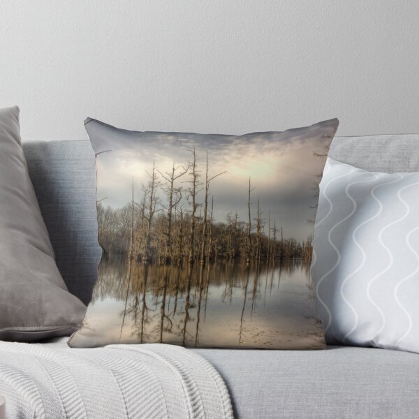 Item preview, Bayou DeSiard designed and sold by steini.