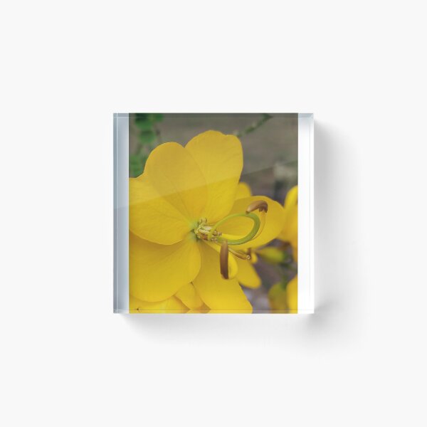 Item preview, Happy yellow flowers  designed and sold by JkLMn72.