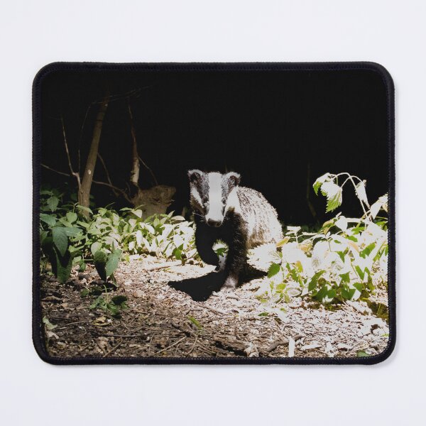 Item preview, Badger designed and sold by MTPhotos1406.