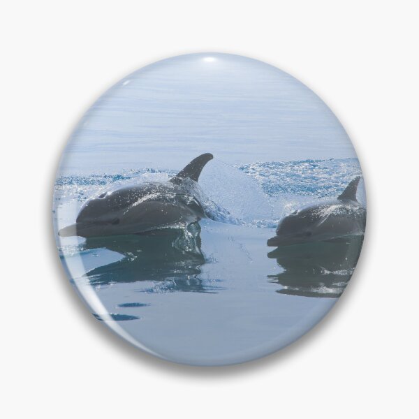Item preview, Common Dolphin designed and sold by MTPhotos1406.