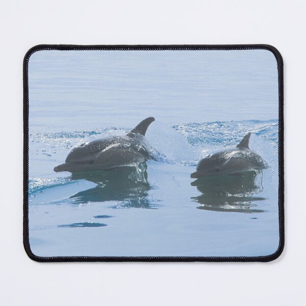 Item preview, Common Dolphin designed and sold by MTPhotos1406.
