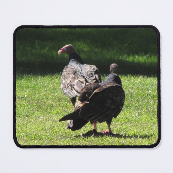 Item preview, Vultures in Canada designed and sold by ArtOfE.